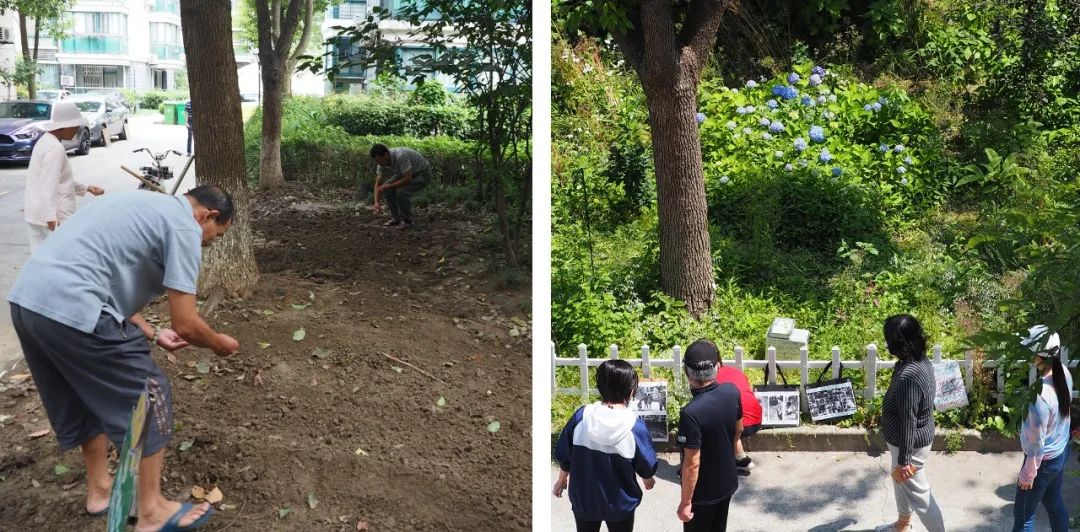 香港KFarm · 高科技农场的绿色奇迹丨中国香港丨陈启豪等-89