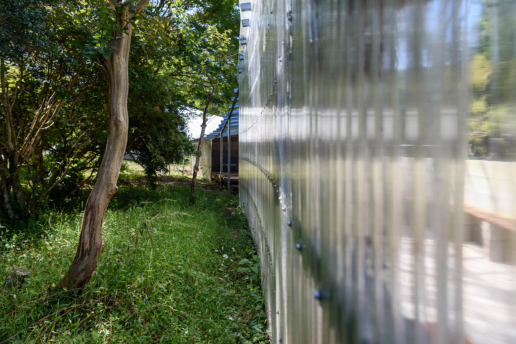 廊架住宅丨日本静冈丨Takayuki Kuzushima and Associates-86