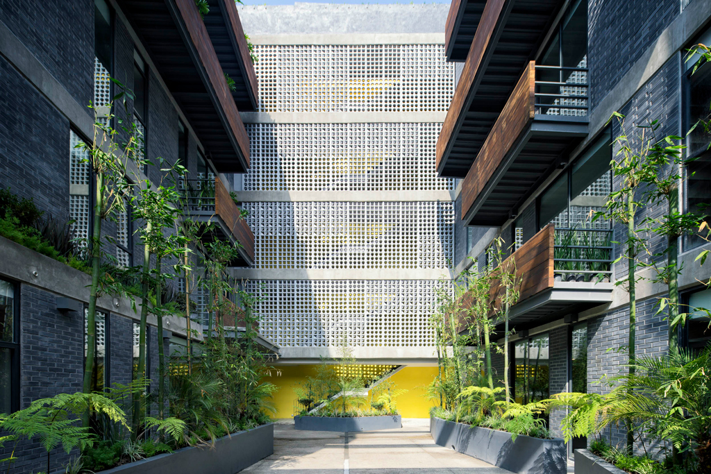 Barrank Building 墨西哥城南部公寓设计-65