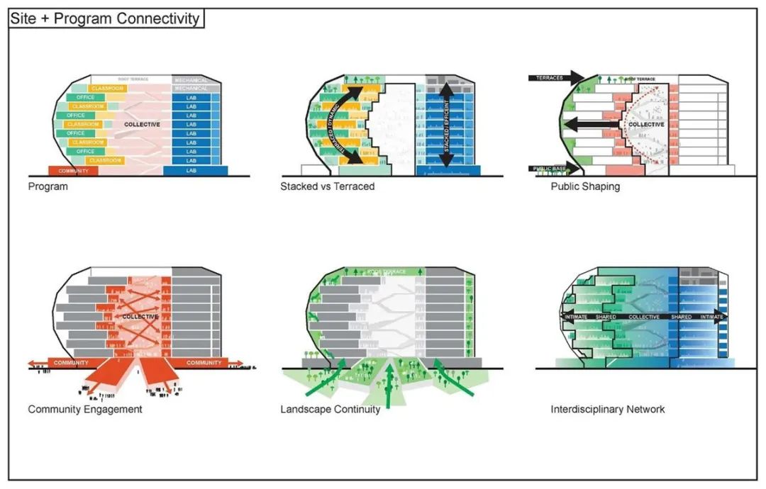 发现伙伴研究所丨OMA-5