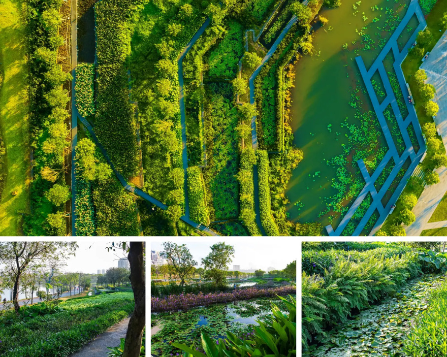 美舍河凤翔公园丨中国海口丨土人设计-40