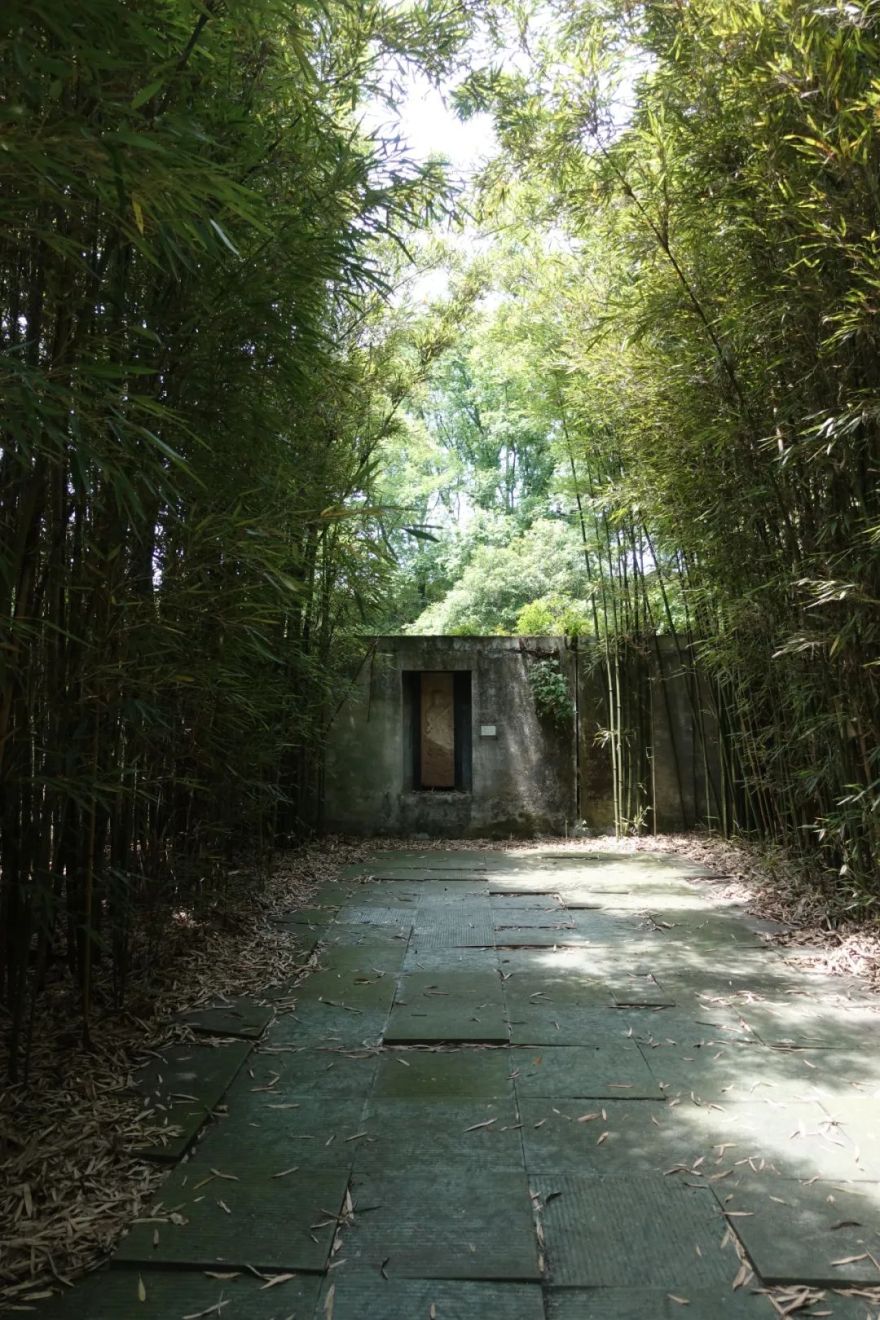 鹿野苑,经验与体验之间丨碎片笔记-46