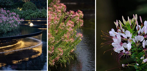 智慧光年小区丨中国宿迁丨LAURENT 罗朗景观-42