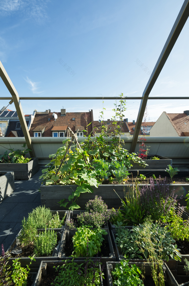 德国 Nürnberg 城市植物房丨büro für bauform-34