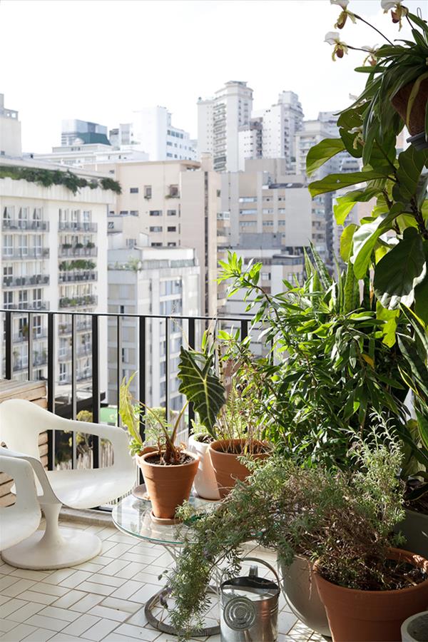 色彩斑斓的木质公寓 · 巴西 Residência Lorena-7