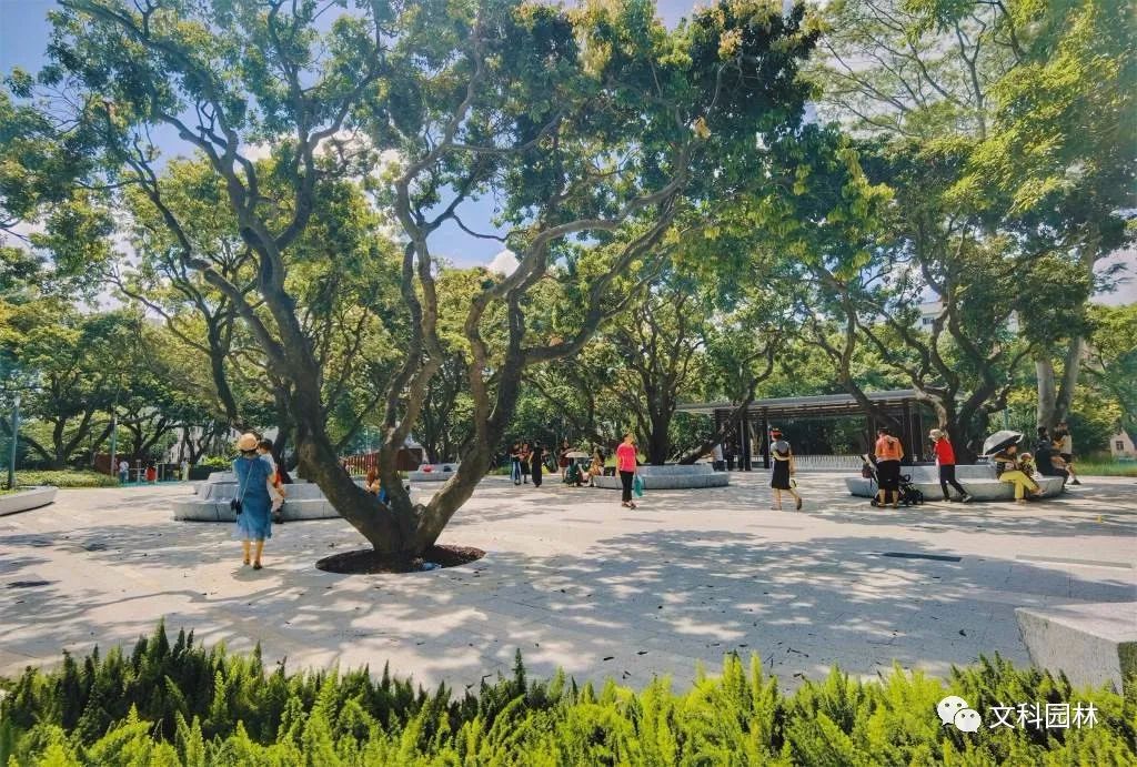 深圳福田花漾街区及街心花园 | 创新景观设计,重构城市空间-34