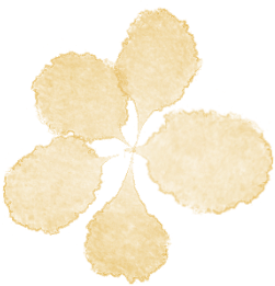 “五一”趣玩｜闲来无事，到荔枝公园喝茶去～-4