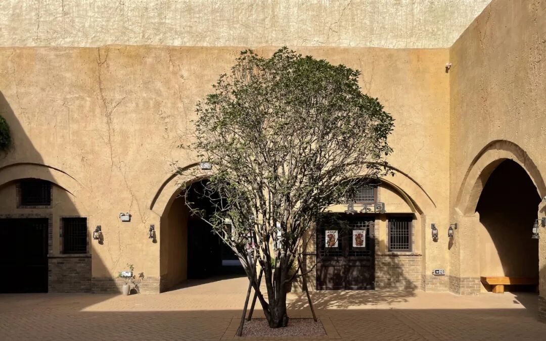 新物种的诞生：只有河南·戏剧幻城-70