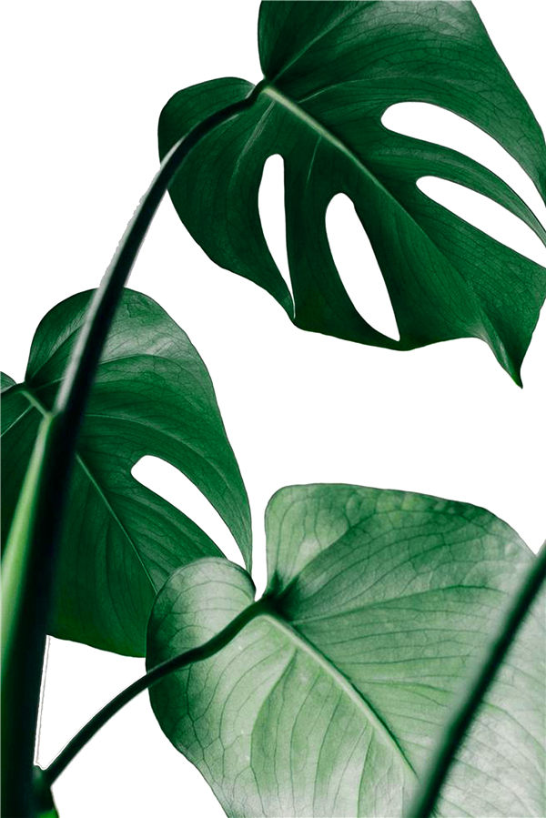 北欧清新卧室书房-13