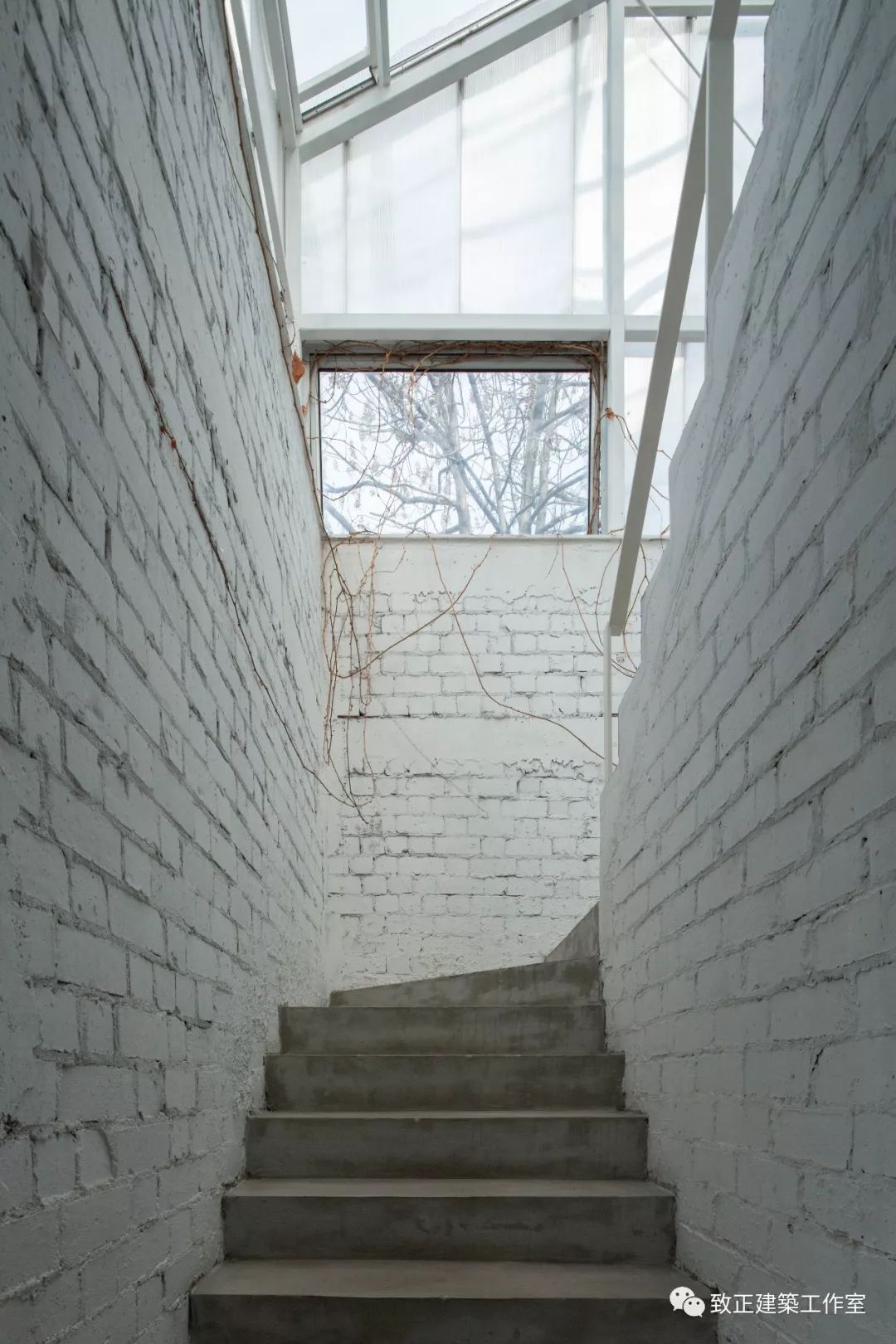 西岸工作室的绿意生活-22