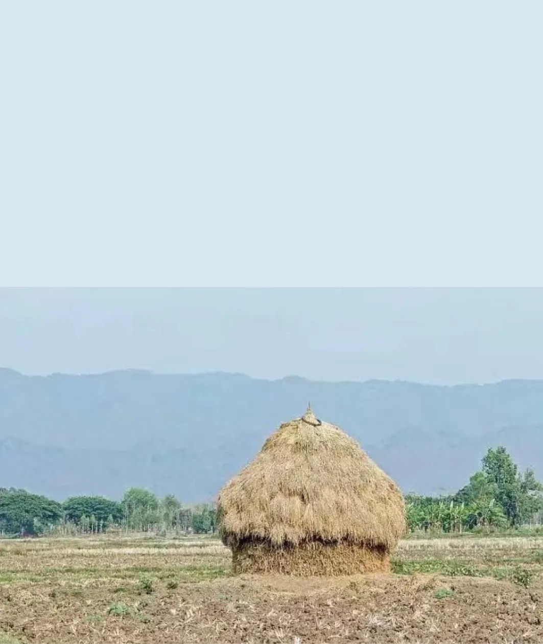 【HTD设计】乡野自然体验餐厅-17