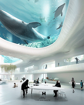 The Marine Science Museum I Zhuhai Chimelong