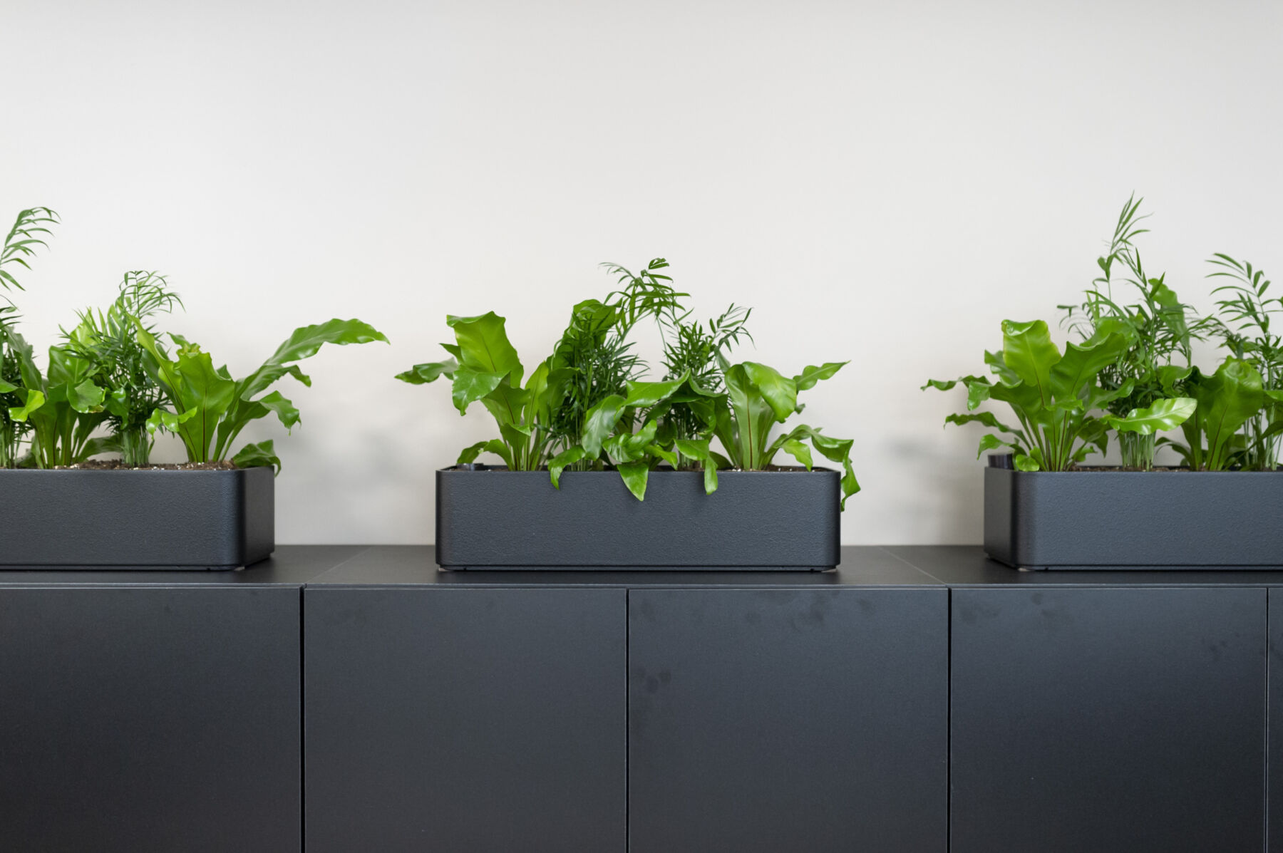 丨挪威丨文本未提及-19