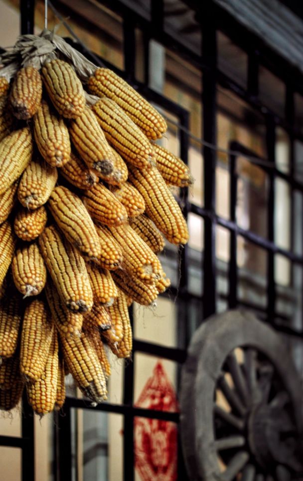 乡愁的味道 | 美食与室内设计-97