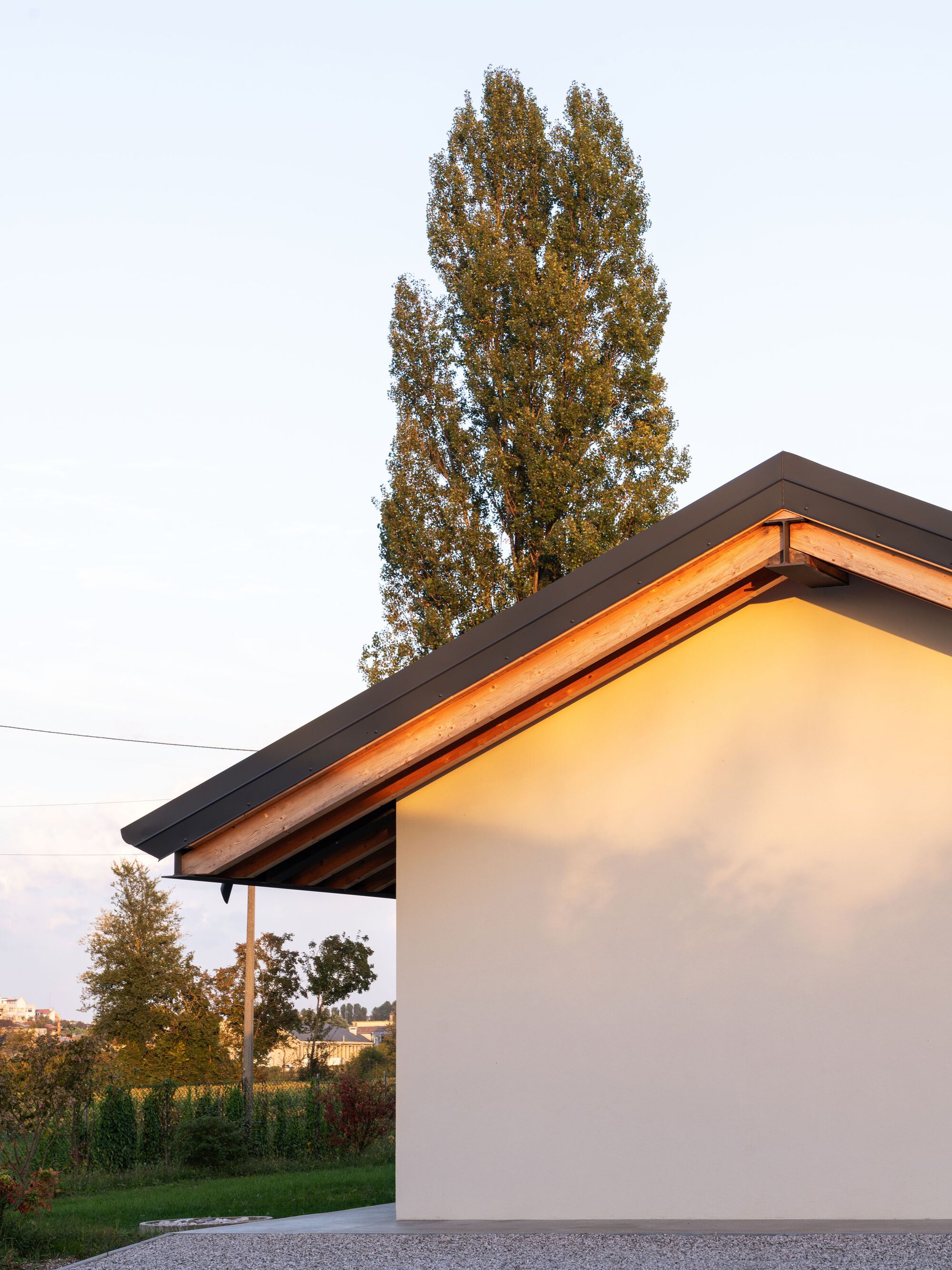 丨意大利丨Marco Turcato-40