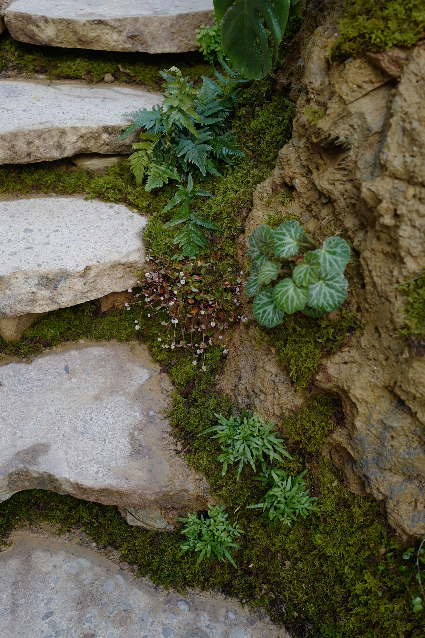 Shenzhen Flower Show - Xanthe White Design-3