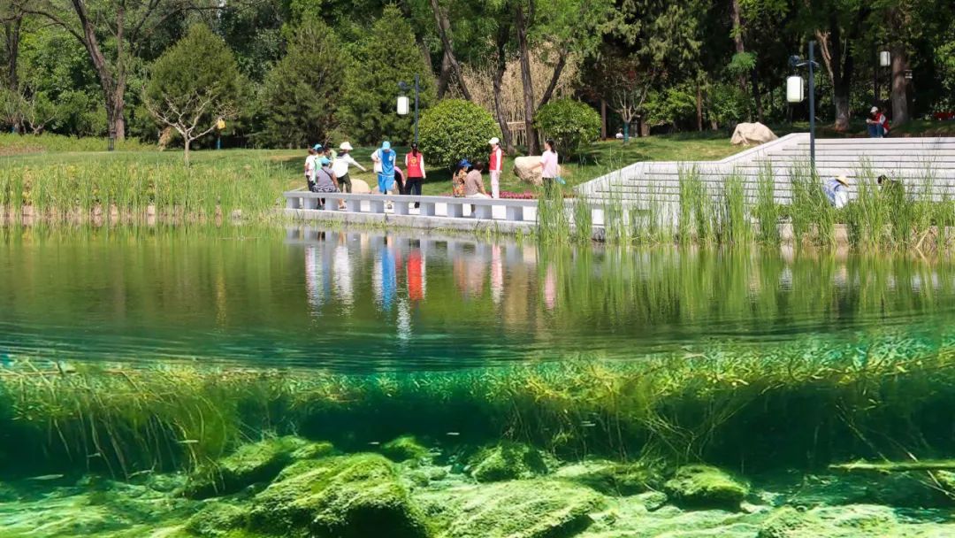 渭河咸阳城区段深化提升项目丨中国咸阳丨AECOM-34