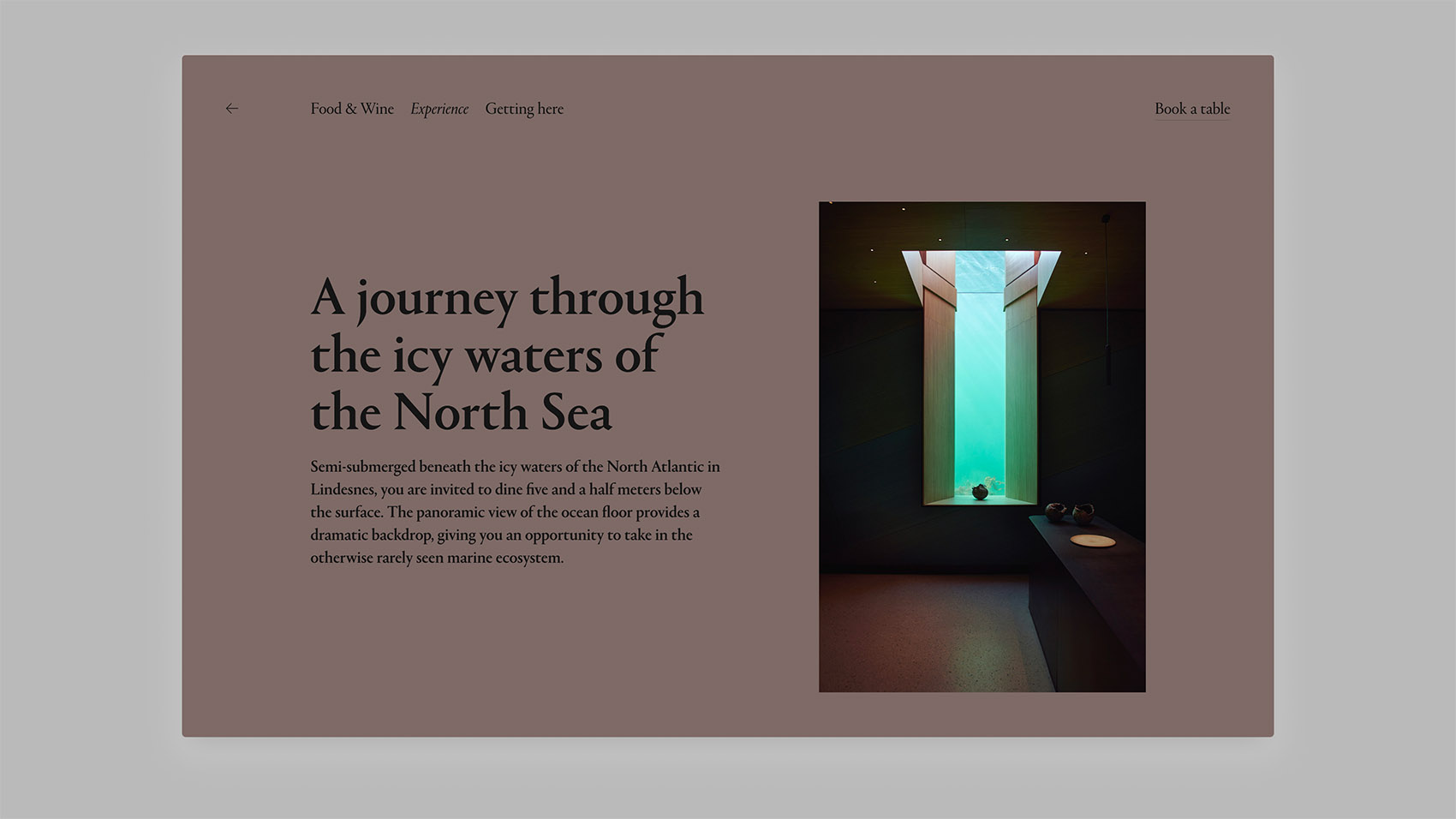 欧洲第一家水下餐厅“Under”正式完工 / Snøhetta-67