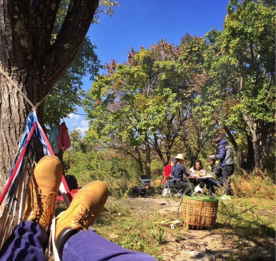 买不起房，小夫妻把牛棚改造成家，竟成300㎡大别墅还有150㎡花园菜地......-142