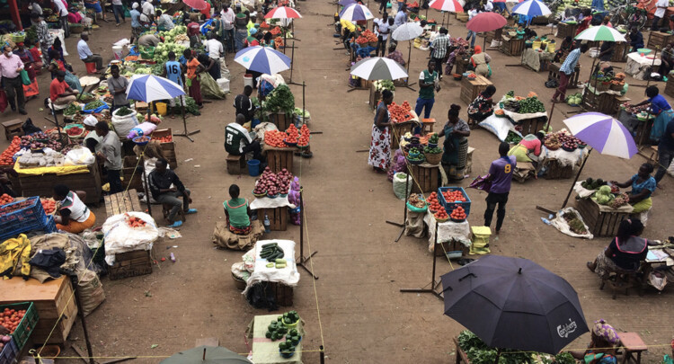 L 大厦或L 建筑物丨乌干达丨Adengo Architecture-10