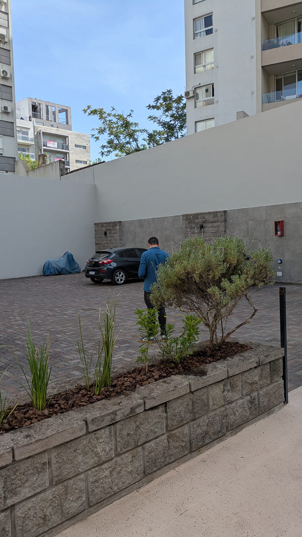 博尼法西奥项目-3