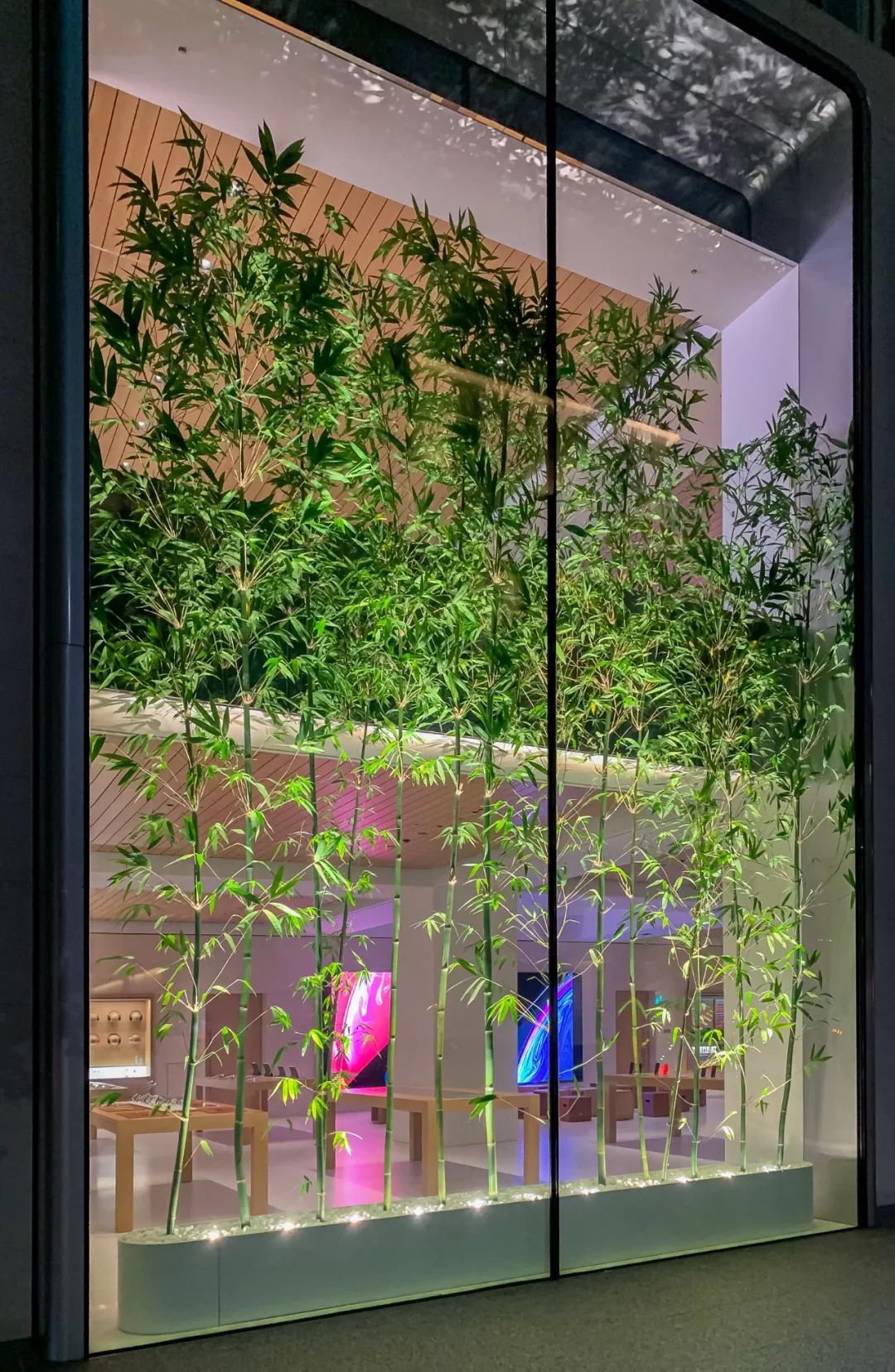 日本最大苹果旗舰店揭幕，全新外观设计是亮点  foster   partners-27