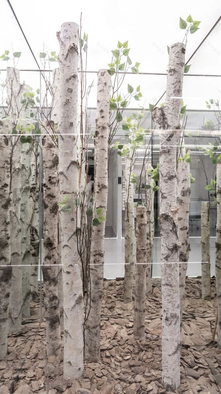 布莱梅联合口腔医院丨中国成都丨科图设计-72