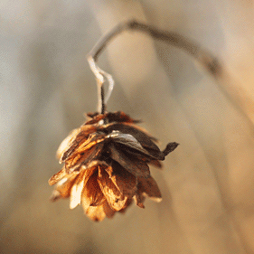 香港置地·武汉·光谷元庐·星启丨中国武汉丨海力空间设计-17