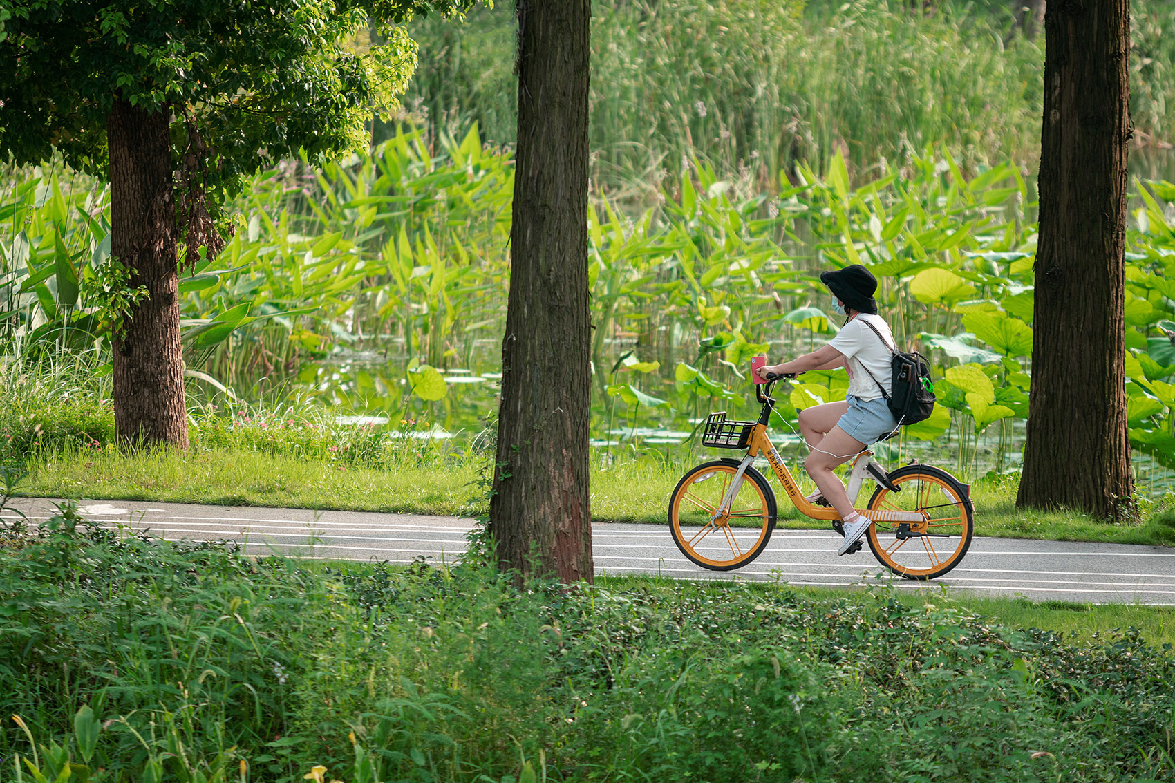 武汉华侨城D3地块南侧湿地公园-36
