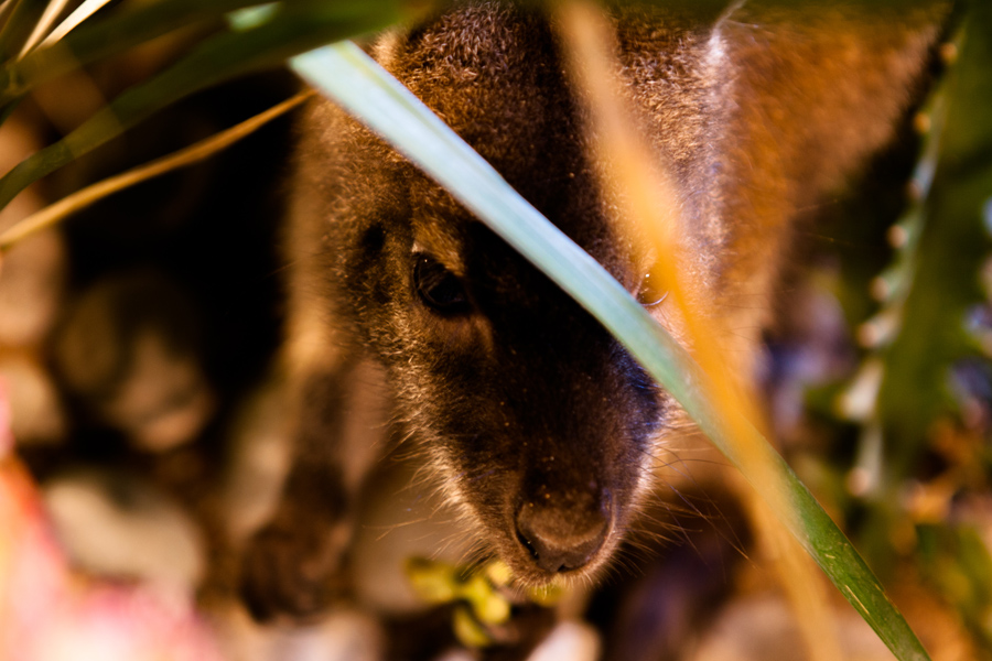 주렁주렁 하남점 인테리어 - 인테리어 디자인 회사 디자인다나함-35