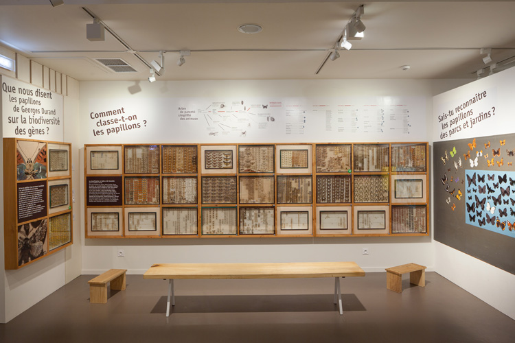 Centre Beautour环境与生物多样性科研中心-51