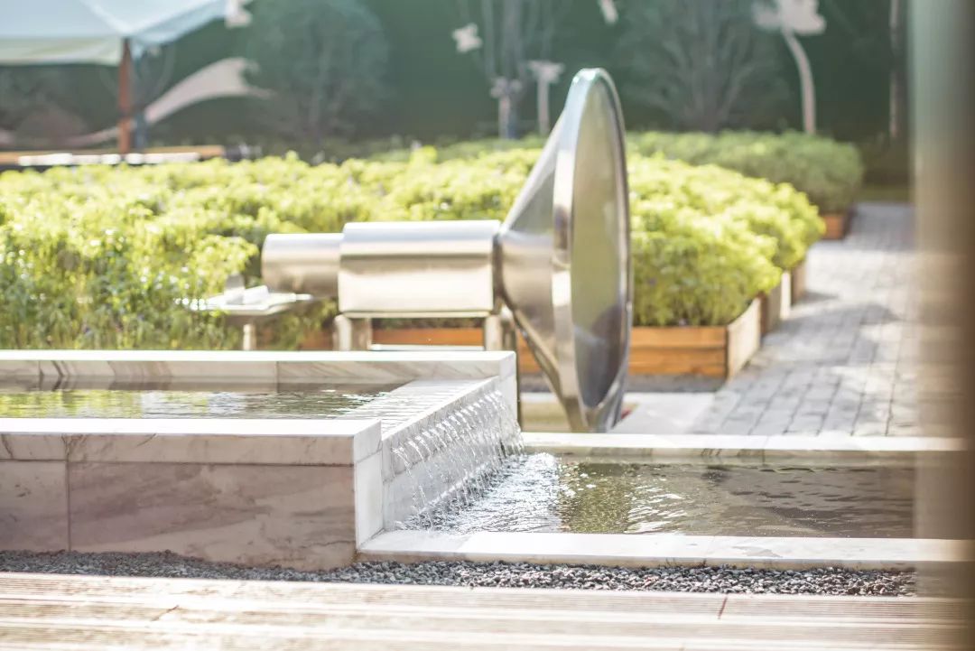 中南蚌埠江山府 | 种下一米菜园，收获心田一亩-2