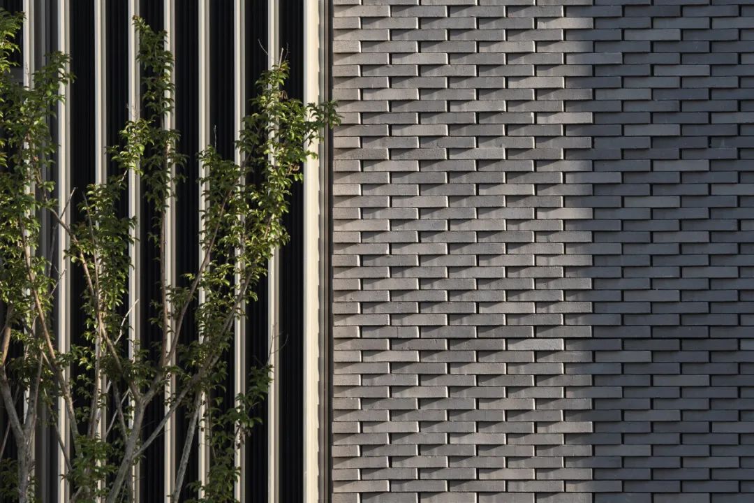 上海纽约大学跨文化校园设计丨中国上海-13