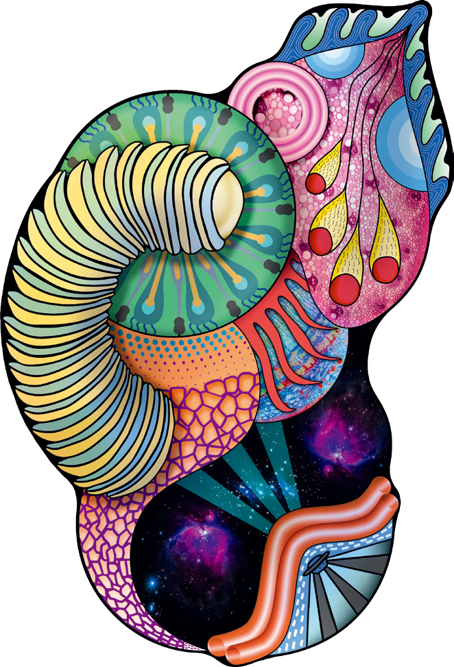 Gucci的相关内容 - 安邸AD家居生活网-1