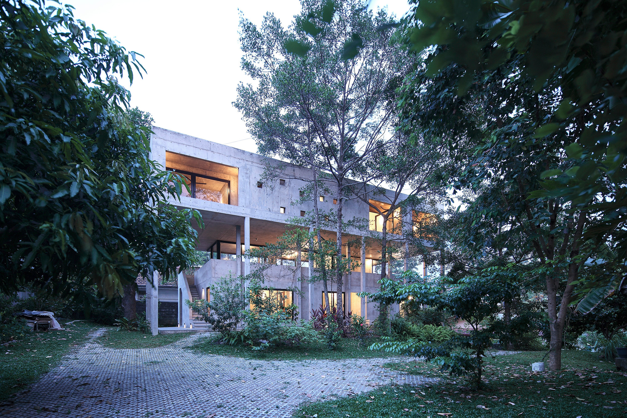 大树小植物屋丨Read Studio-50