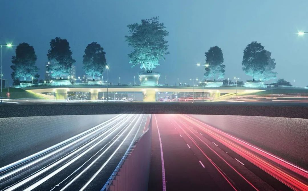 生态飘带景观桥丨澳大利亚堪培拉丨CX landscape-44