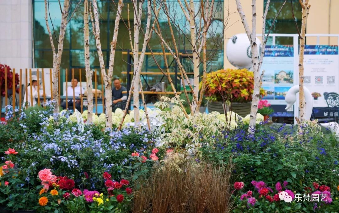乐梵园艺打造成都花木博览会快闪花园,惊艳全场-24