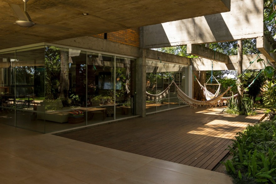 房子之间的树-11