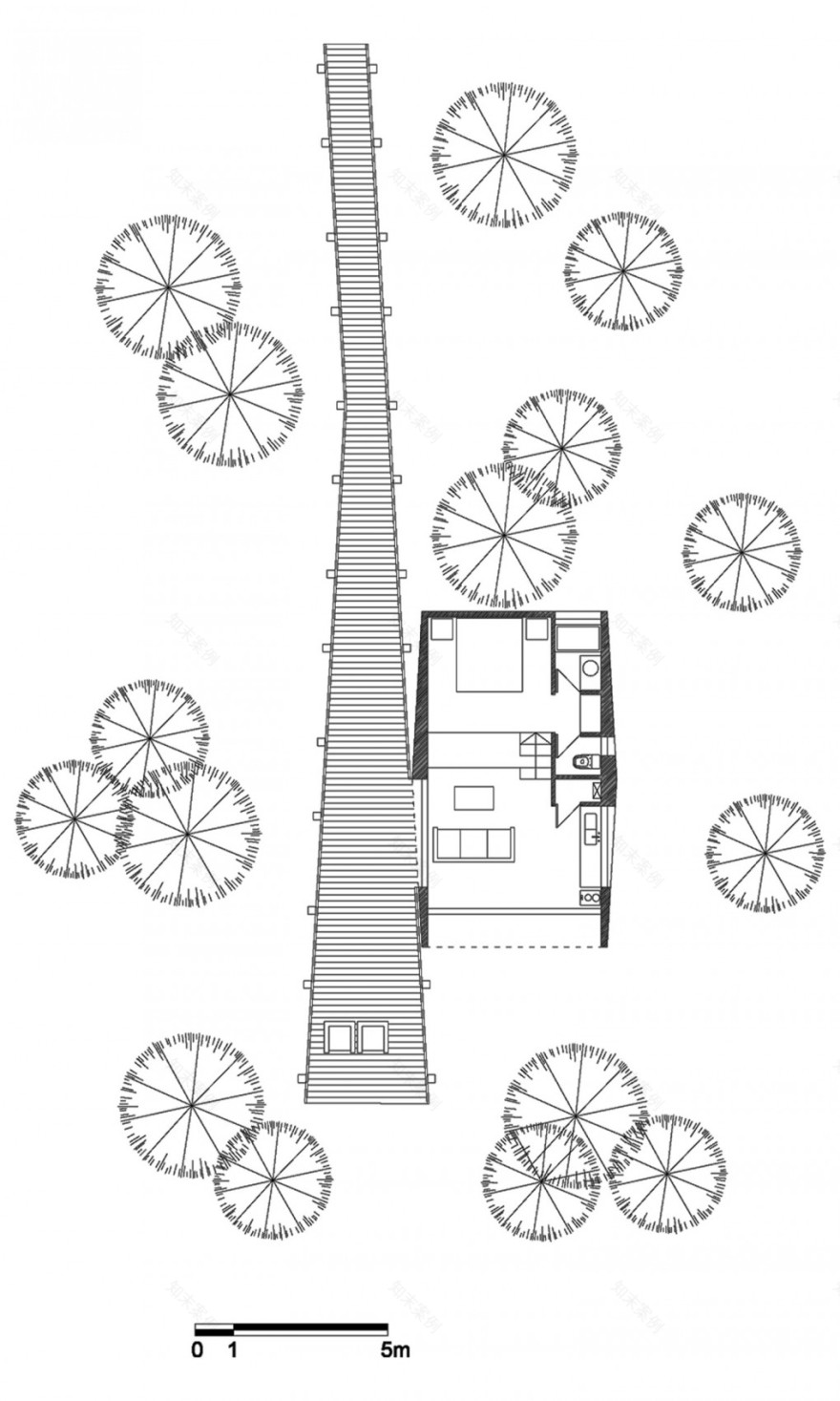 概念性小木屋树屋设计丨智利-12