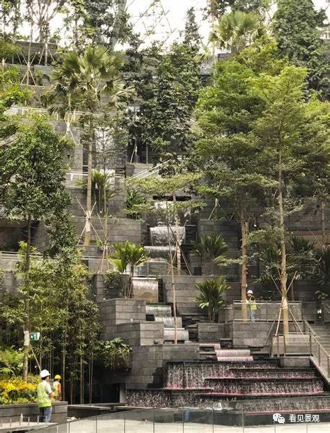 星耀樟宜 | 雨漩涡与绿意交织的机场奇迹-30