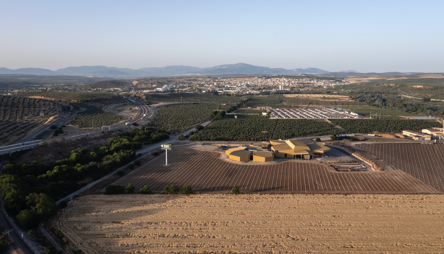 Acesur橄榄油榨油厂丨Mollinedo Arquitectura-9