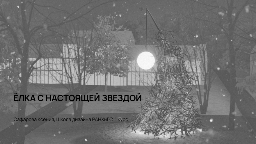 Arkhangelsk自然保护区公园“带真星星的圣诞树”项目-2