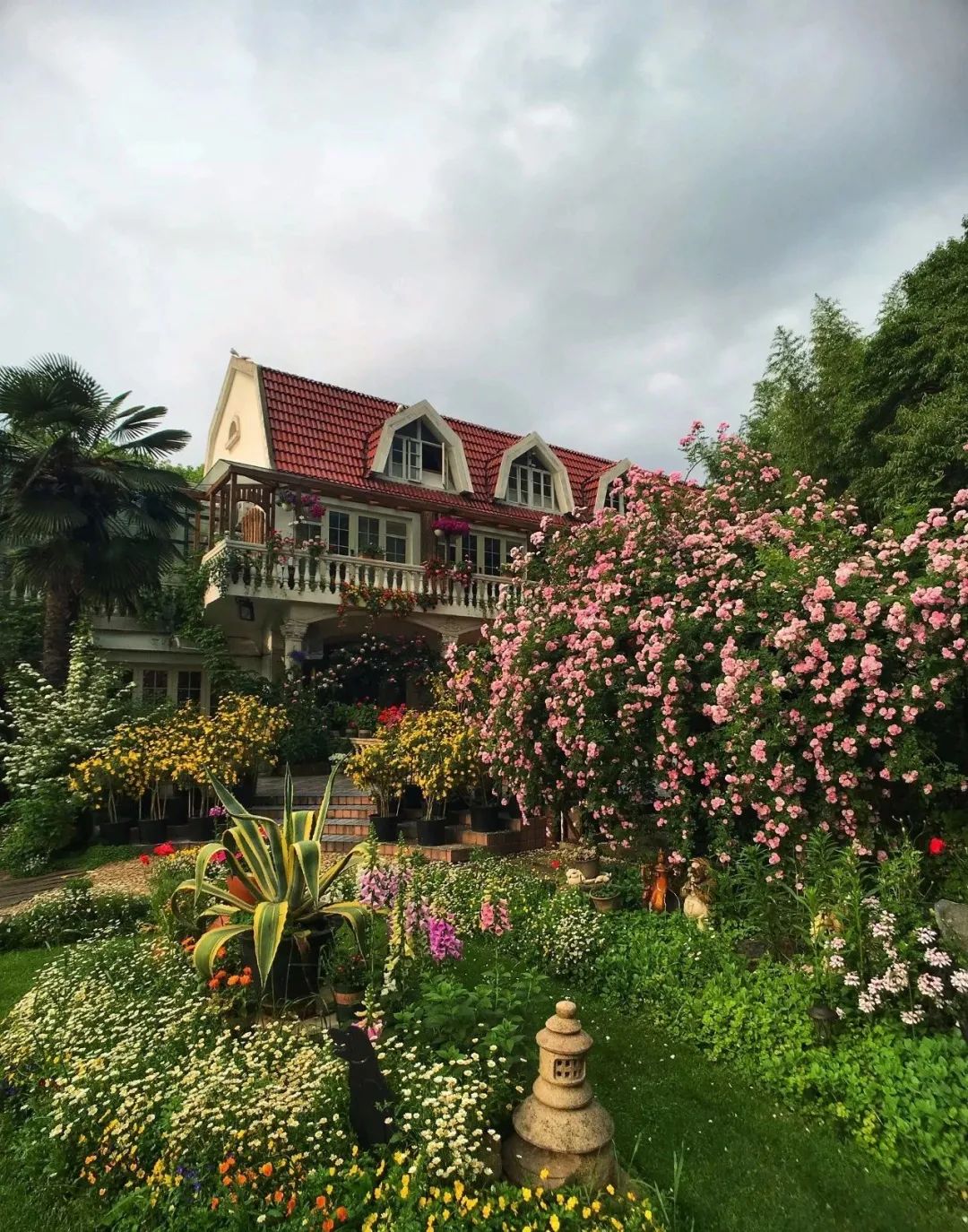 三棵树庄园 | 摄影家的心灵秘境-69