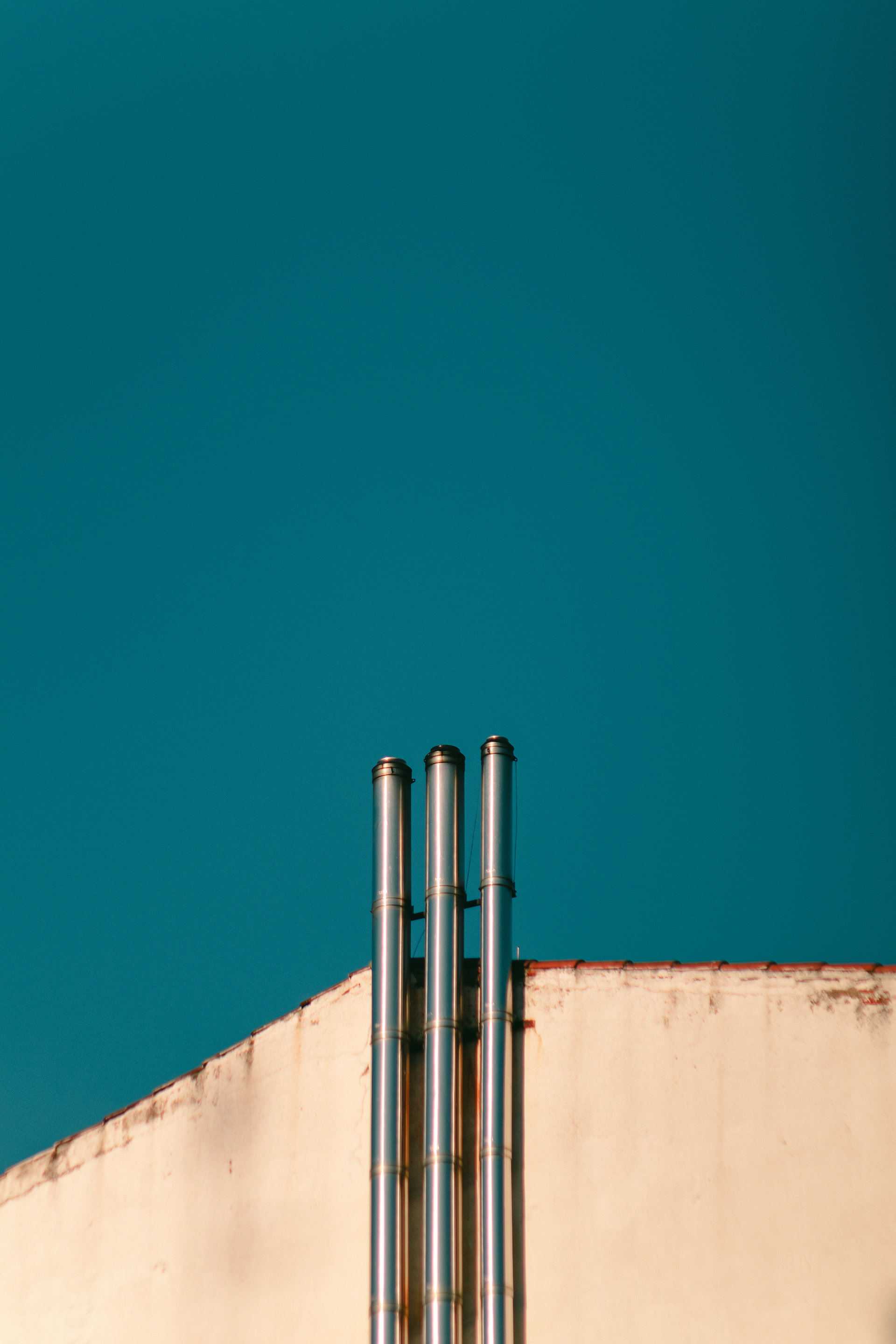 用 86 年的远摄镜头拍摄-4