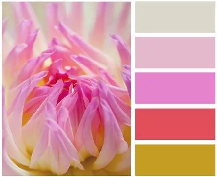 粉色佳人 | 美容会所的浪漫梦幻空间-10