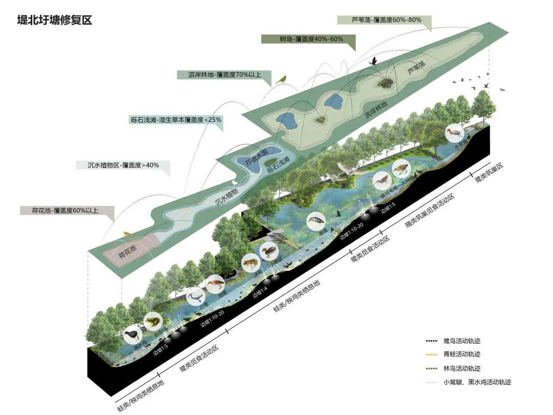 台州鉴洋湖湿地公园首启区景观设计丨中国台州丨AECOM-26