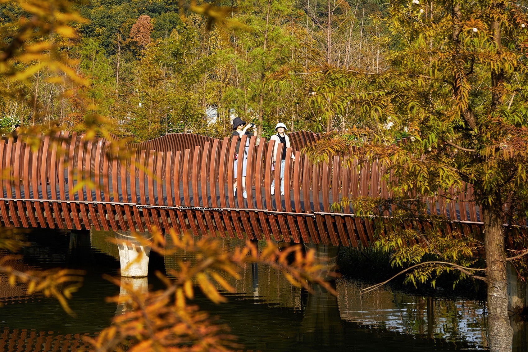 铜鉴湖公园生态修复，杭州 / 中国电建集团华东勘测设计研究院有限公司-67