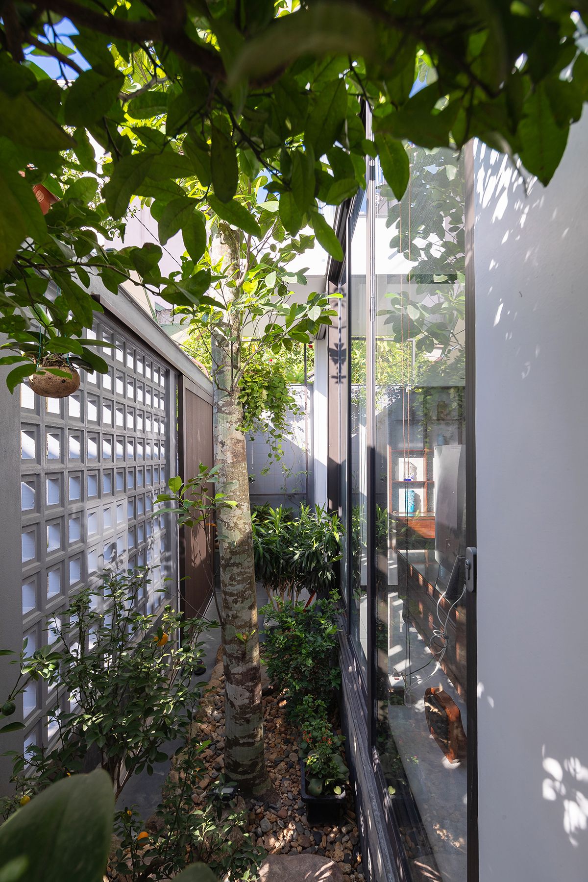 城市中的"A"字形住宅-37