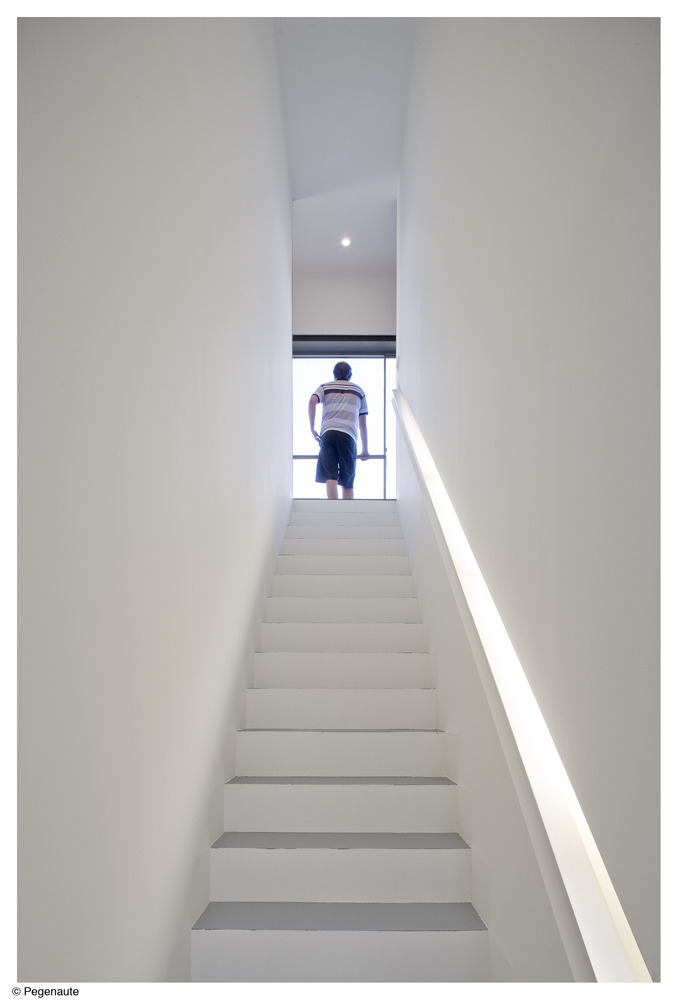 Domínguez House 过滤式花园设计-39