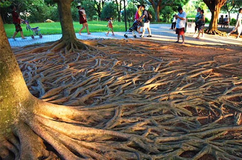 自然之灵感，艺术之展现——MAD Architects 设计作品解析-26